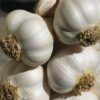 Garlic Granules Bulk 5 kilo